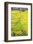 Indonesia, Flores Island, Cancar. the Attractive Spider S Web Rice Paddies Near Ruteng.-Nigel Pavitt-Framed Photographic Print