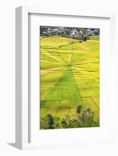 Indonesia, Flores Island, Cancar. the Attractive Spider S Web Rice Paddies Near Ruteng.-Nigel Pavitt-Framed Photographic Print