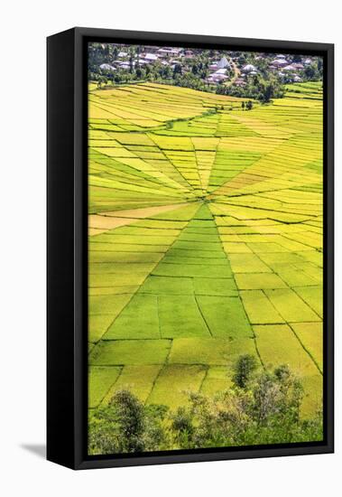 Indonesia, Flores Island, Cancar. the Attractive Spider S Web Rice Paddies Near Ruteng.-Nigel Pavitt-Framed Stretched Canvas