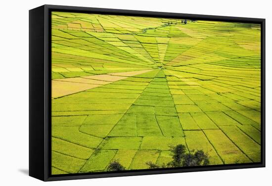 Indonesia, Flores Island, Cancar. the Attractive Spider S Web Rice Paddies Near Ruteng.-Nigel Pavitt-Framed Stretched Canvas