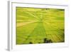 Indonesia, Flores Island, Cancar. the Attractive Spider S Web Rice Paddies Near Ruteng.-Nigel Pavitt-Framed Photographic Print