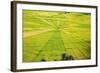 Indonesia, Flores Island, Cancar. the Attractive Spider S Web Rice Paddies Near Ruteng.-Nigel Pavitt-Framed Photographic Print