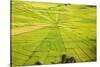 Indonesia, Flores Island, Cancar. the Attractive Spider S Web Rice Paddies Near Ruteng.-Nigel Pavitt-Stretched Canvas