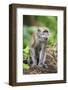 Indonesia, Flores Island, Moni. a Long-Tailed Macaque Monkey in the Kelimutu National Park-Nigel Pavitt-Framed Photographic Print