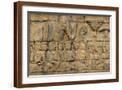 Brown Frame