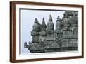 Brown Frame