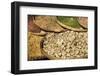 Indonesia, Java-Nigel Pavitt-Framed Photographic Print