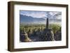 Indonesia, Java-Nigel Pavitt-Framed Photographic Print