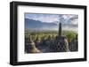 Indonesia, Java-Nigel Pavitt-Framed Photographic Print