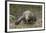 Indonesia, Komodo Dragon National Park. Close-up of Komodo dragon.-Jaynes Gallery-Framed Photographic Print