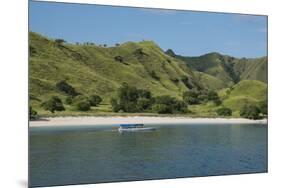 Indonesia, Komodo Island. Komodo NP. Pink Beach Cove, Savu Sea-Cindy Miller Hopkins-Mounted Premium Photographic Print