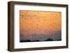 Indonesia, Lesser Sunda Islands-Nigel Pavitt-Framed Photographic Print