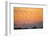 Indonesia, Lesser Sunda Islands-Nigel Pavitt-Framed Photographic Print