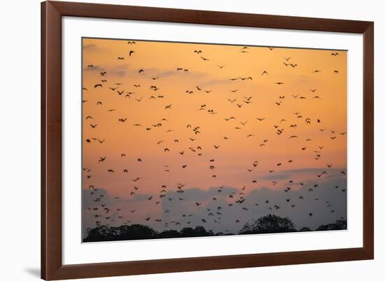 Indonesia, Lesser Sunda Islands-Nigel Pavitt-Framed Photographic Print