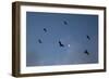 Indonesia, Lesser Sunda Islands-Nigel Pavitt-Framed Photographic Print