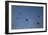 Indonesia, Lesser Sunda Islands-Nigel Pavitt-Framed Photographic Print