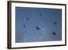 Indonesia, Lesser Sunda Islands-Nigel Pavitt-Framed Photographic Print