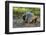 Indonesia, Loh Buaya-Nigel Pavitt-Framed Photographic Print