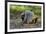 Indonesia, Loh Buaya-Nigel Pavitt-Framed Photographic Print