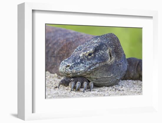 Indonesia, Loh Buaya-Nigel Pavitt-Framed Photographic Print