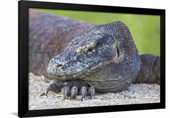 Indonesia, Loh Buaya-Nigel Pavitt-Framed Photographic Print