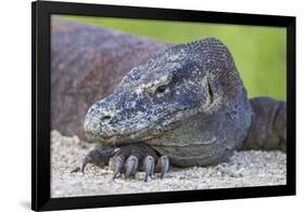 Indonesia, Loh Buaya-Nigel Pavitt-Framed Photographic Print