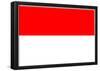 Indonesia National Flag Poster Print-null-Framed Poster
