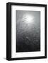 Indonesia, School of Barracuda in Sea-Michele Westmorland-Framed Photographic Print