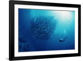 Indonesia, Scuba Diving in Sea-Michele Westmorland-Framed Photographic Print