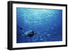 Indonesia, Scuba Diving in Sea-Michele Westmorland-Framed Photographic Print