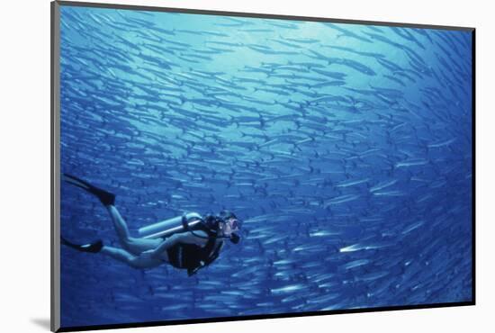 Indonesia, Scuba Diving in Sea-Michele Westmorland-Mounted Photographic Print