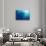 Indonesia, Scuba Diving in Sea-Michele Westmorland-Stretched Canvas displayed on a wall