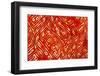 Indonesia, West Papua, Raja Ampat. Close-Up of Sea Cucumber-Jaynes Gallery-Framed Photographic Print
