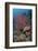 Indonesia, West Papua, Raja Ampat. Coral reef scenic.-Jaynes Gallery-Framed Photographic Print