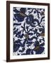 Indonesian Batik I-Baxter Mill Archive-Framed Art Print