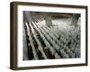 Indonesian Muslims Pray at Istiqlal Mosque in Jakarta for the Victims of Deadly Tsunami in Aceh-null-Framed Photographic Print