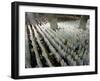 Indonesian Muslims Pray at Istiqlal Mosque in Jakarta for the Victims of Deadly Tsunami in Aceh-null-Framed Photographic Print