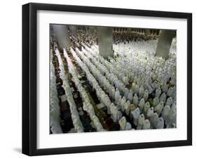 Indonesian Muslims Pray at Istiqlal Mosque in Jakarta for the Victims of Deadly Tsunami in Aceh-null-Framed Photographic Print