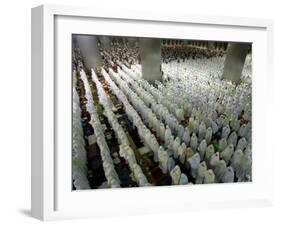 Indonesian Muslims Pray at Istiqlal Mosque in Jakarta for the Victims of Deadly Tsunami in Aceh-null-Framed Photographic Print