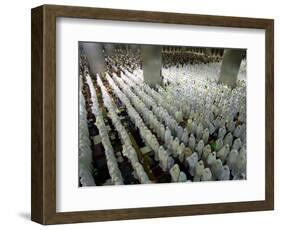 Indonesian Muslims Pray at Istiqlal Mosque in Jakarta for the Victims of Deadly Tsunami in Aceh-null-Framed Photographic Print