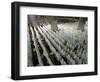 Indonesian Muslims Pray at Istiqlal Mosque in Jakarta for the Victims of Deadly Tsunami in Aceh-null-Framed Photographic Print