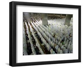 Indonesian Muslims Pray at Istiqlal Mosque in Jakarta for the Victims of Deadly Tsunami in Aceh-null-Framed Photographic Print