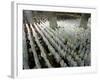 Indonesian Muslims Pray at Istiqlal Mosque in Jakarta for the Victims of Deadly Tsunami in Aceh-null-Framed Photographic Print