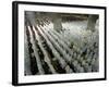 Indonesian Muslims Pray at Istiqlal Mosque in Jakarta for the Victims of Deadly Tsunami in Aceh-null-Framed Photographic Print