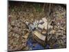 Indonesian Navy Sailors Load Boxes of Aid Bound for Banda Aceh into a Container Ship-null-Mounted Photographic Print