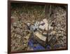 Indonesian Navy Sailors Load Boxes of Aid Bound for Banda Aceh into a Container Ship-null-Framed Photographic Print