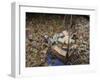 Indonesian Navy Sailors Load Boxes of Aid Bound for Banda Aceh into a Container Ship-null-Framed Photographic Print