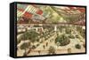 Indoor Flower Show-null-Framed Stretched Canvas