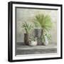 Indoor Garden Gray-Danhui Nai-Framed Art Print