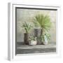 Indoor Garden Gray-Danhui Nai-Framed Art Print